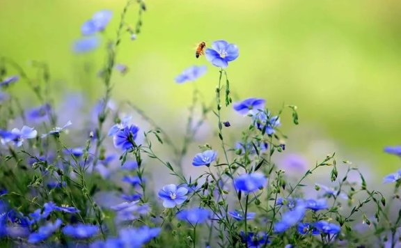 下列各项中,应当进行追溯调整会计处理的是()。