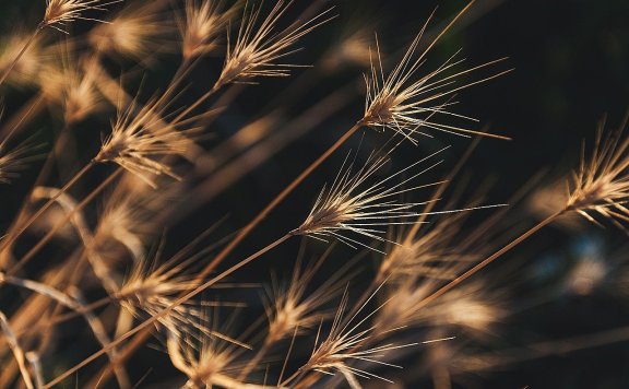 下列有关实质性分析程序的说法中,错误的是(     )。